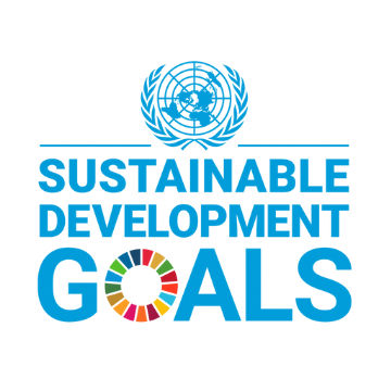 THE SUSTAINABLE DEVELOPMENT GOALS WE ARE CONTRIBUTING TO 17